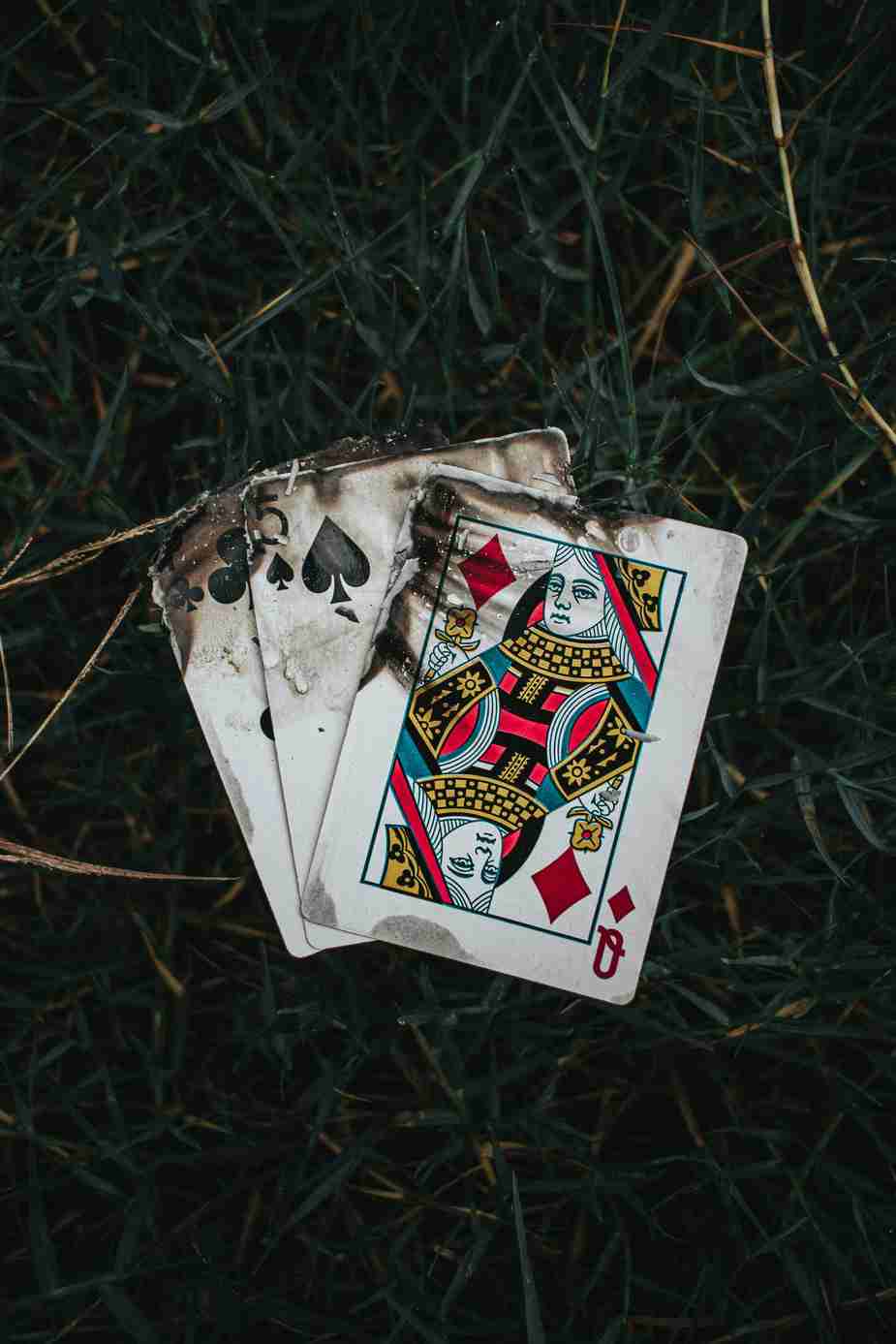 Ultimate Guide to Bonuses at Maximal Wins Casino